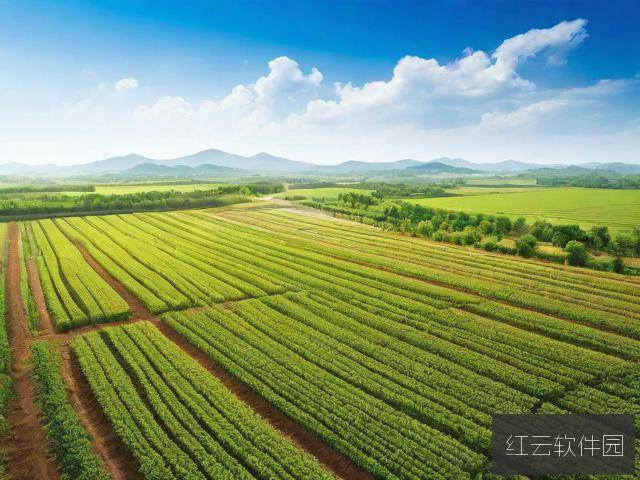 人马畜禽Company Limited,多元化农业企业的创新与可持续发展之路