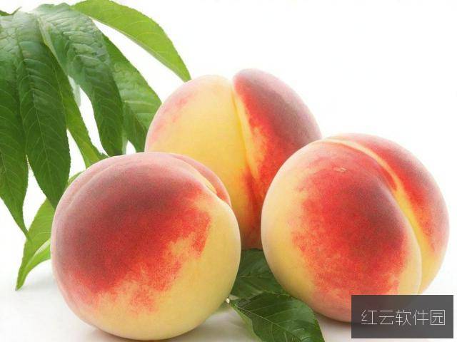 水蜜桃4小蜜桃4小小水蜜桃3，一部清新甜蜜的家庭成长剧
