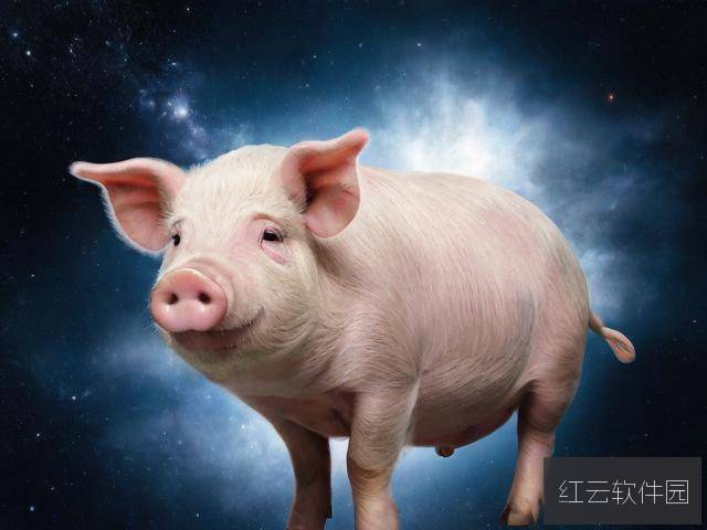 从美国猪ZOOM到美国猪鬃，一场跨越时空的贸易与文化观察
